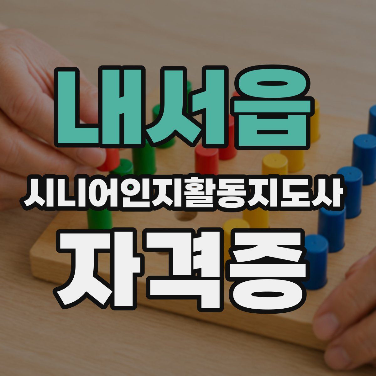 내서읍 시니어인지활동지도사 자격증