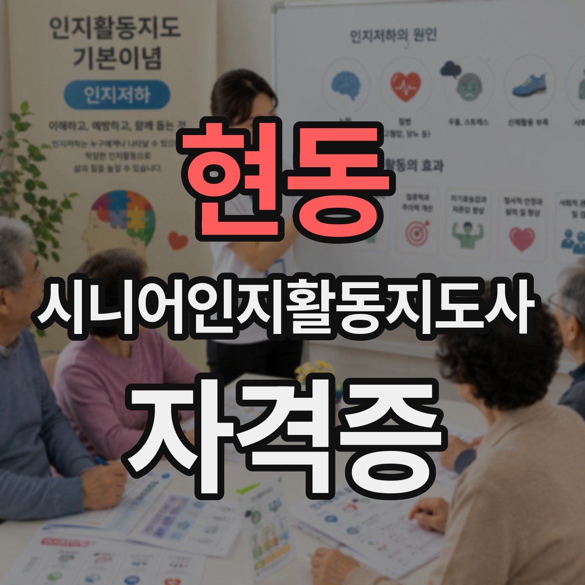 현동 시니어인지활동지도사 자격증