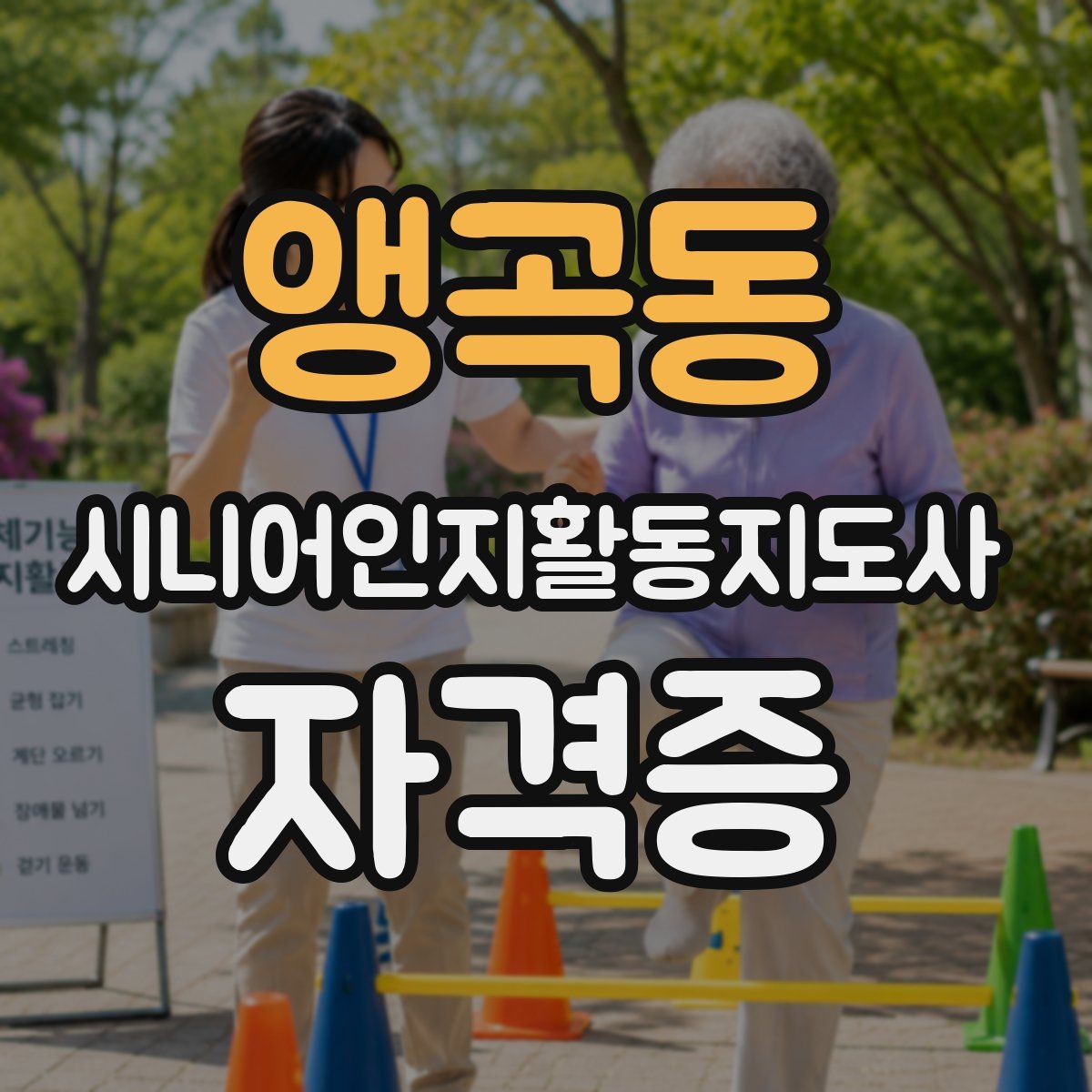 앵곡동 시니어인지활동지도사 자격증