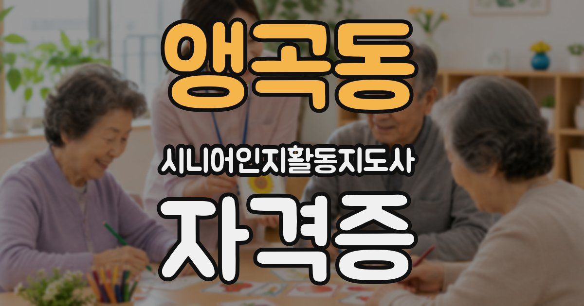 앵곡동 시니어인지활동지도사 자격증