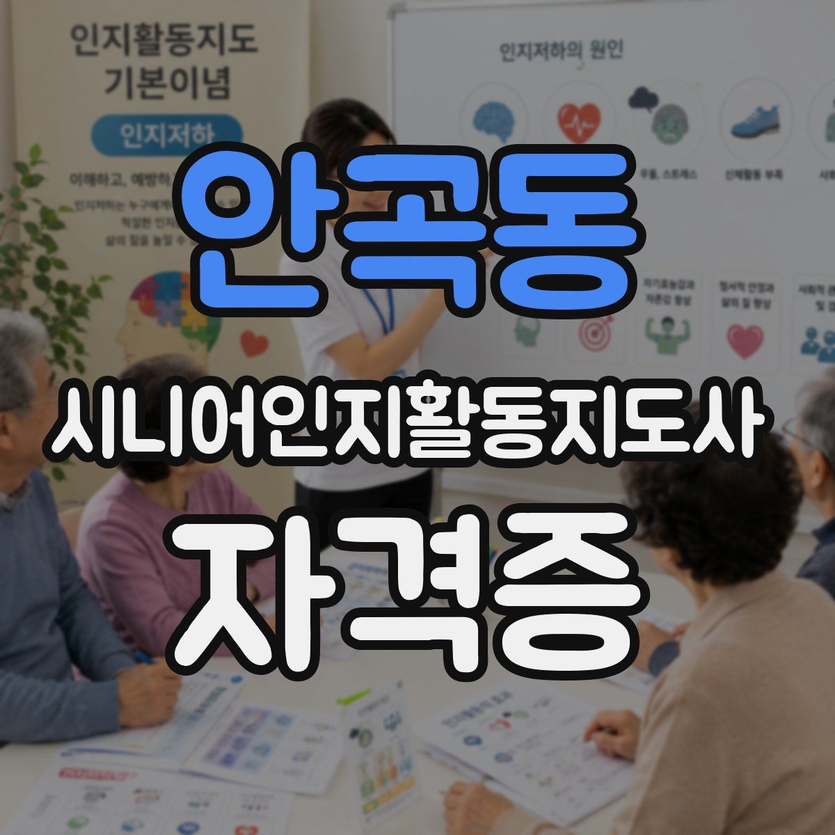 안곡동 시니어인지활동지도사 자격증