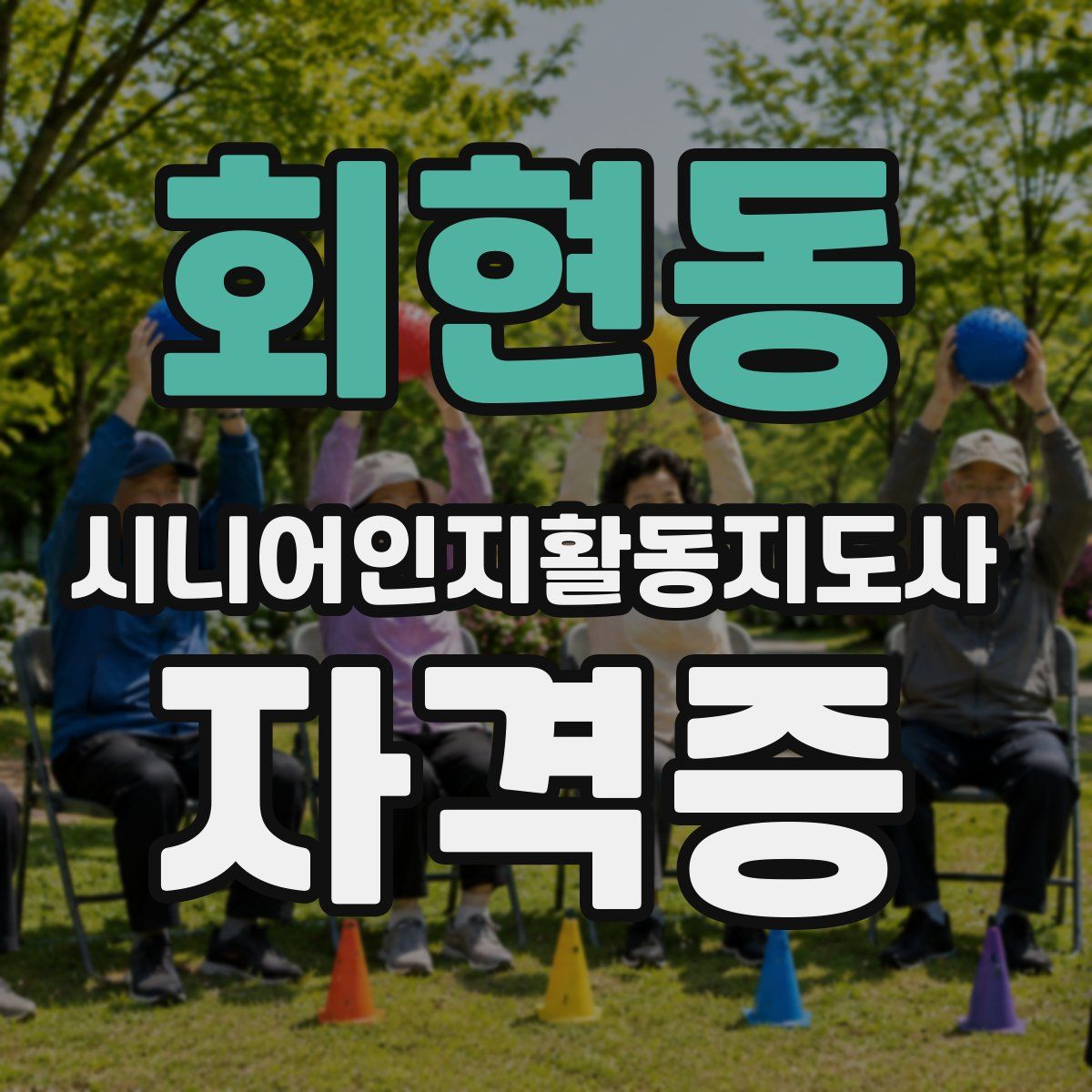 회현동 시니어인지활동지도사 자격증