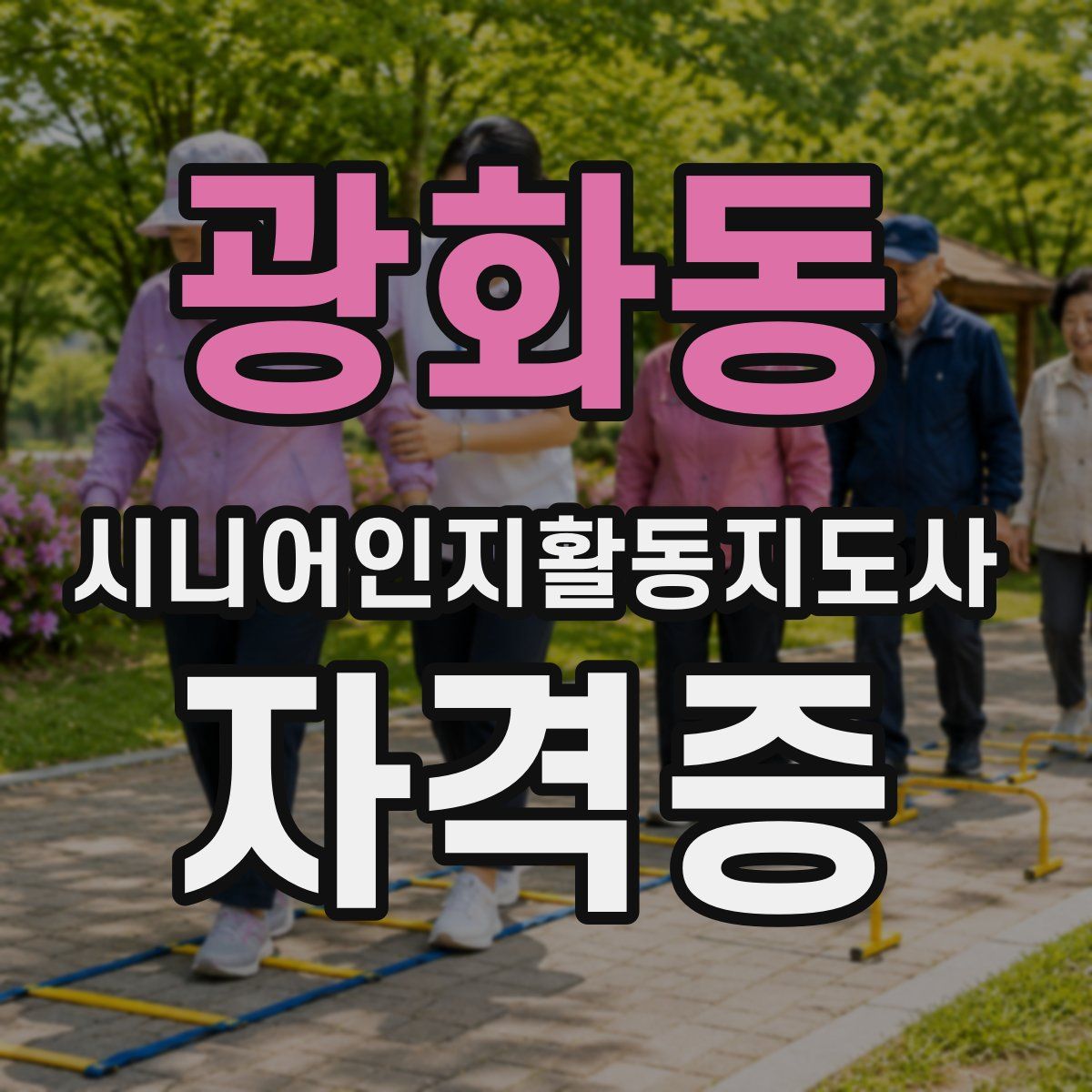 광화동 시니어인지활동지도사 자격증