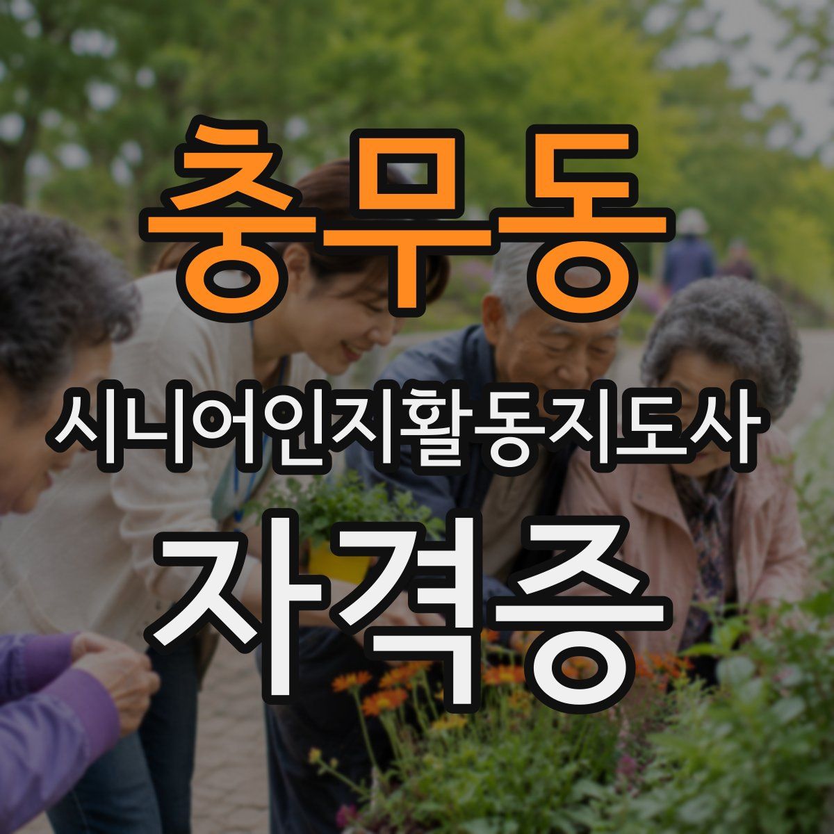 충무동 시니어인지활동지도사 자격증