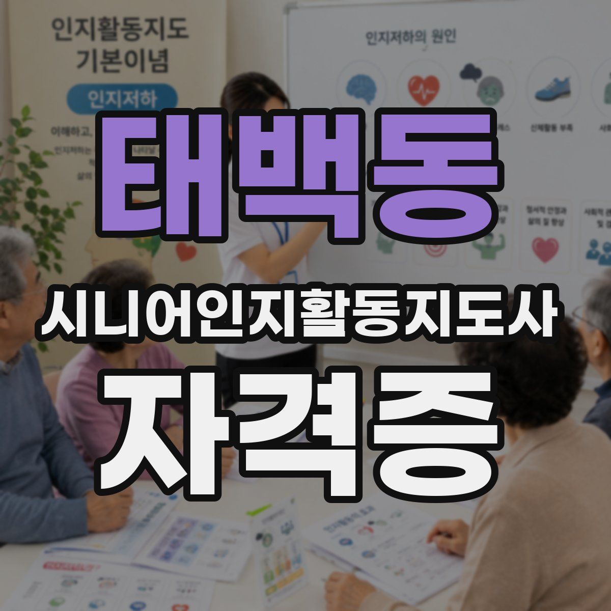 태백동 시니어인지활동지도사 자격증