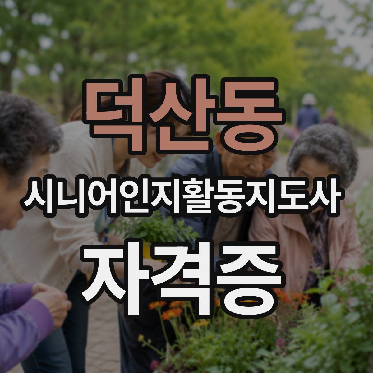 덕산동 시니어인지활동지도사 자격증