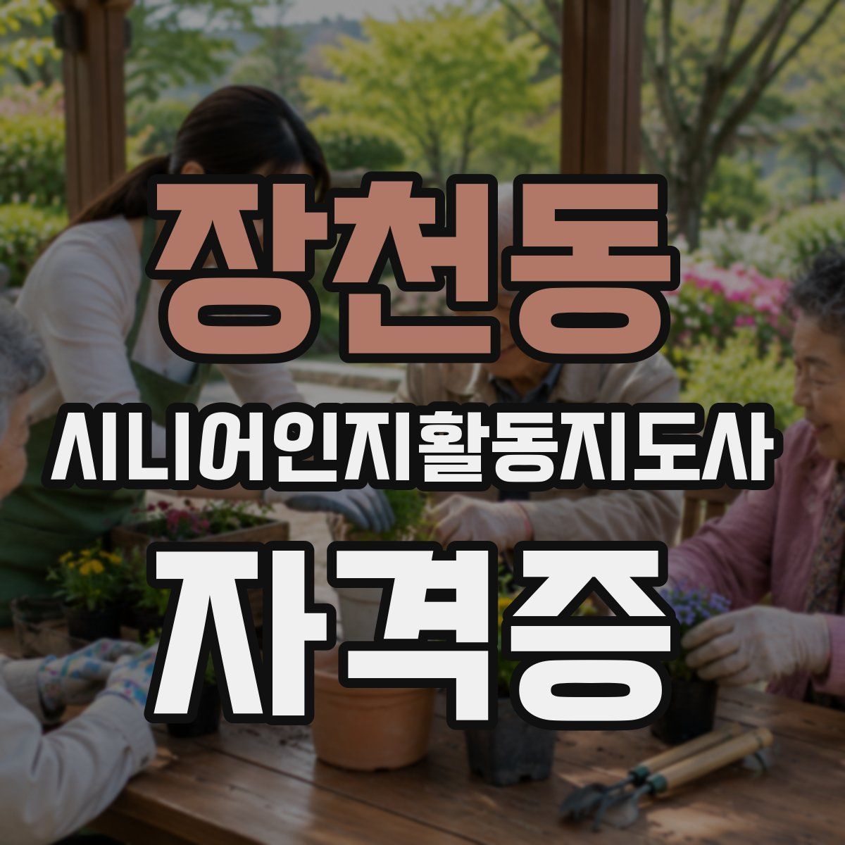 장천동 시니어인지활동지도사 자격증