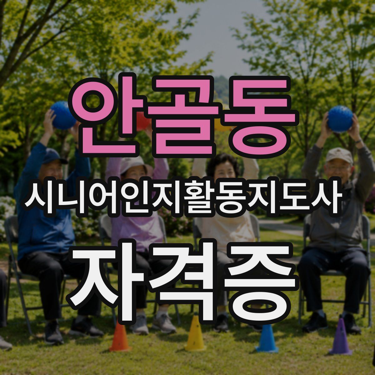 안골동 시니어인지활동지도사 자격증