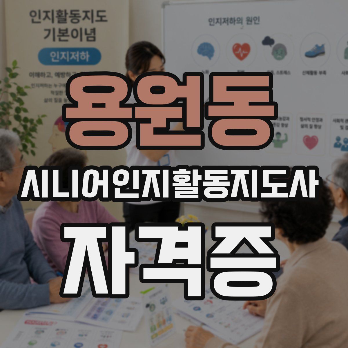 용원동 시니어인지활동지도사 자격증