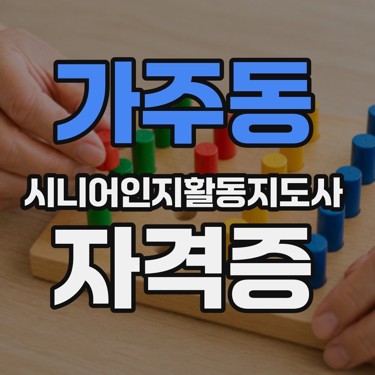 가주동 시니어인지활동지도사 자격증