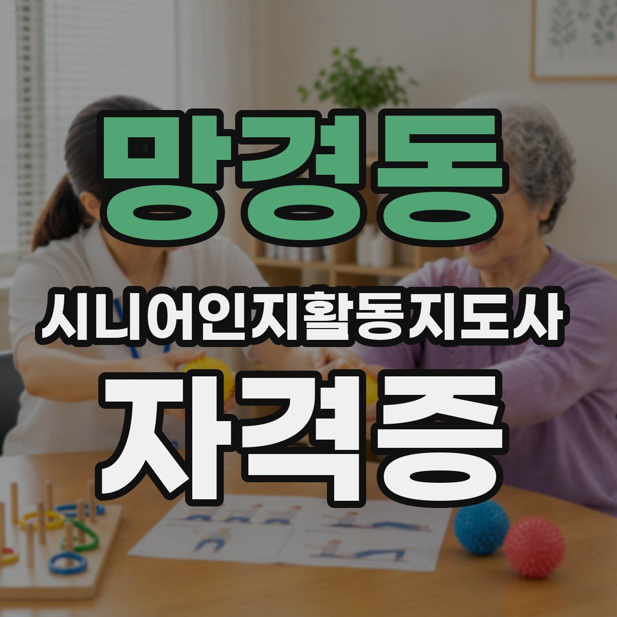 망경동 시니어인지활동지도사 자격증