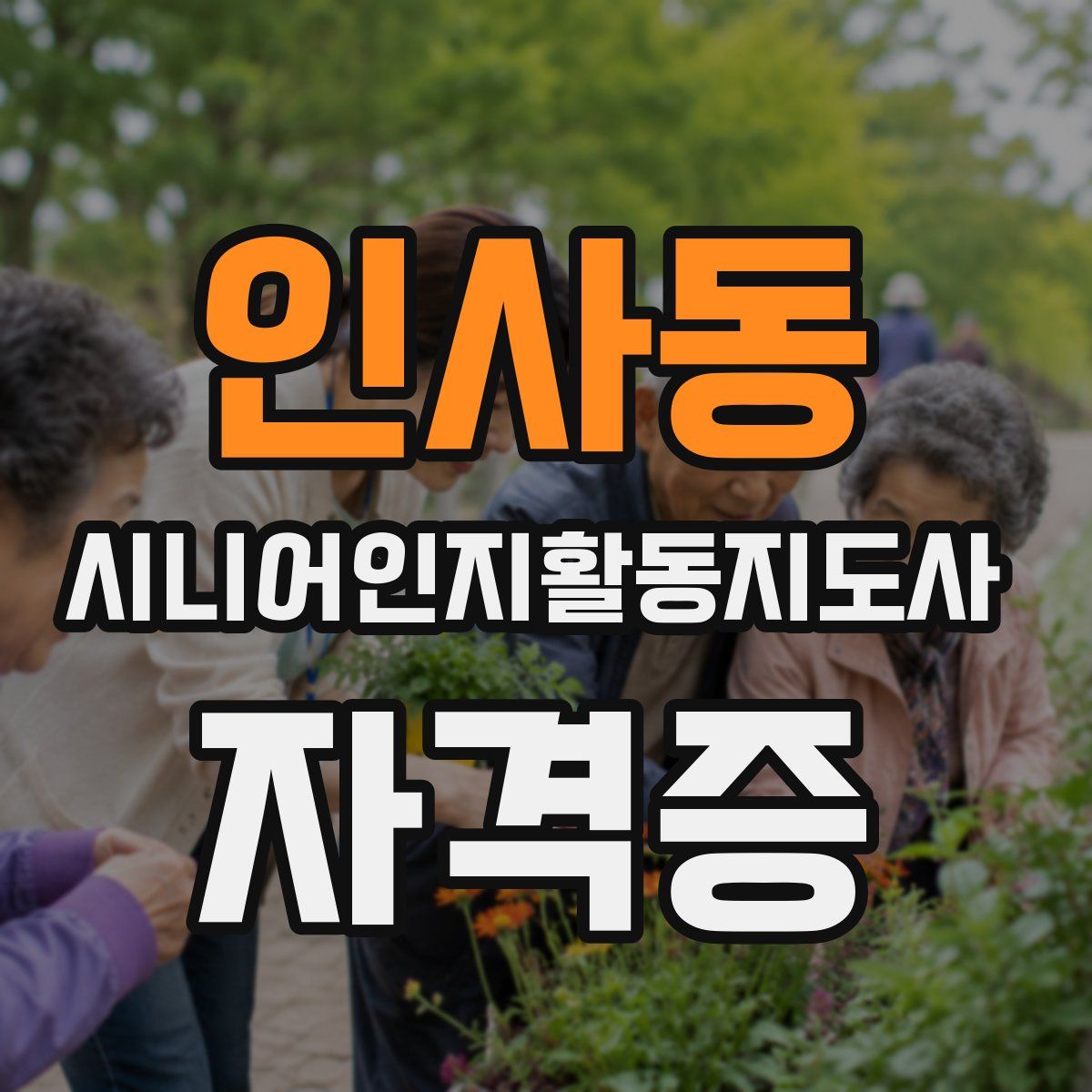 인사동 시니어인지활동지도사 자격증