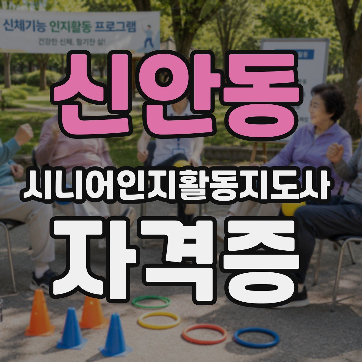 신안동 시니어인지활동지도사 자격증