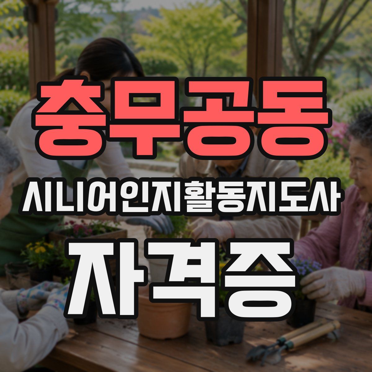 충무공동 시니어인지활동지도사 자격증