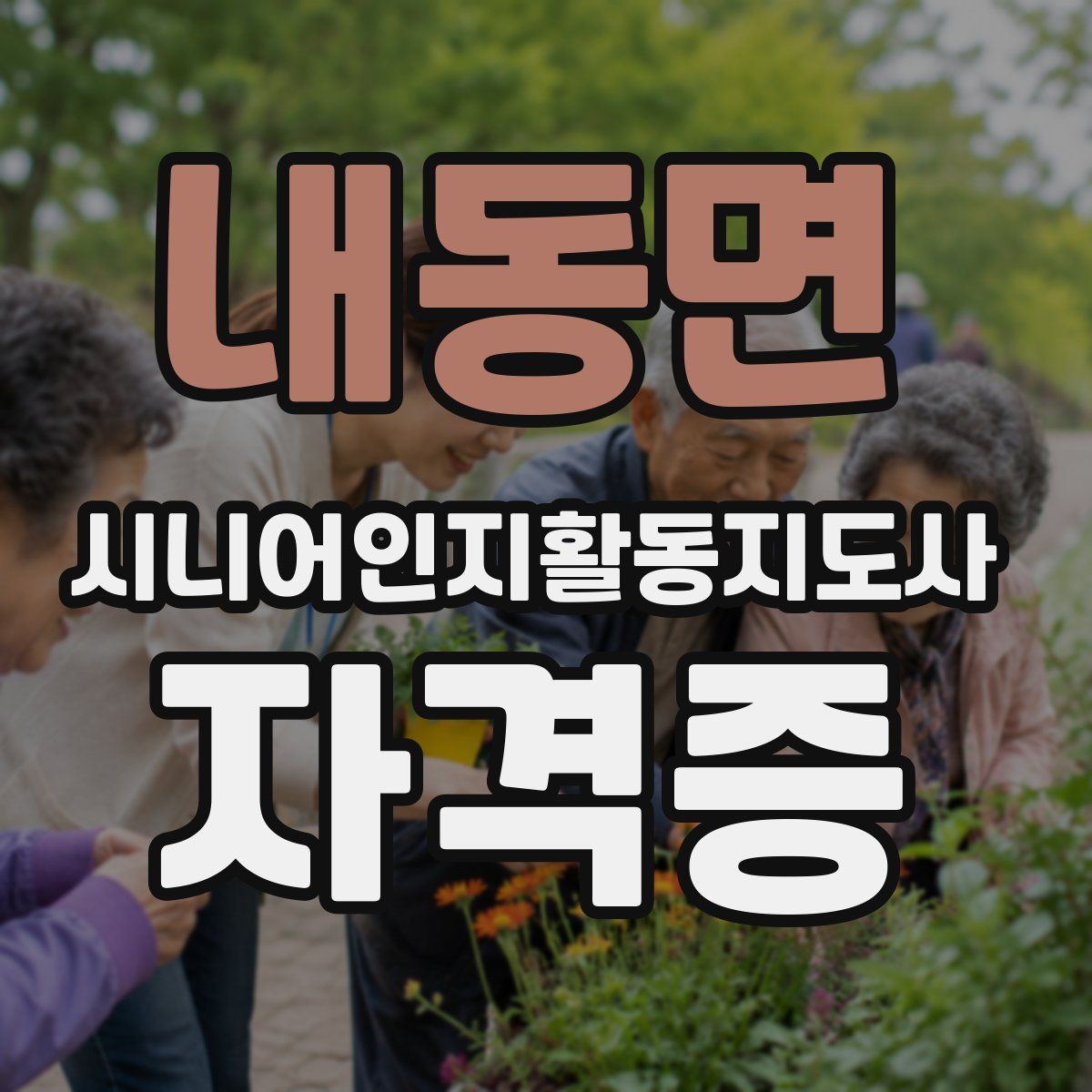 내동면 시니어인지활동지도사 자격증