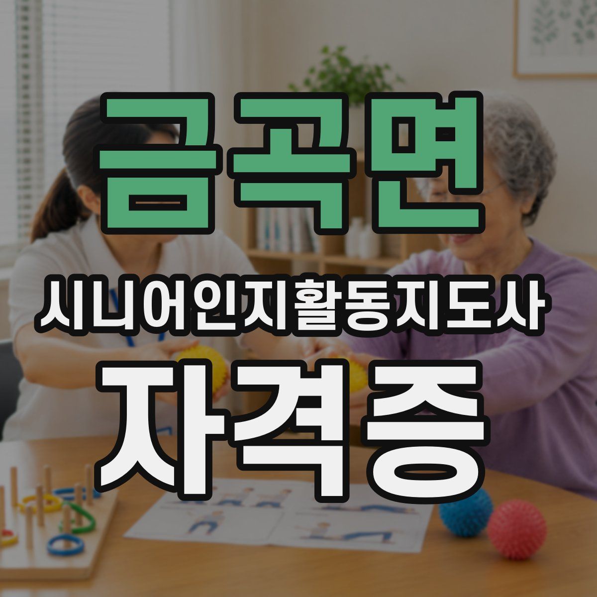 금곡면 시니어인지활동지도사 자격증
