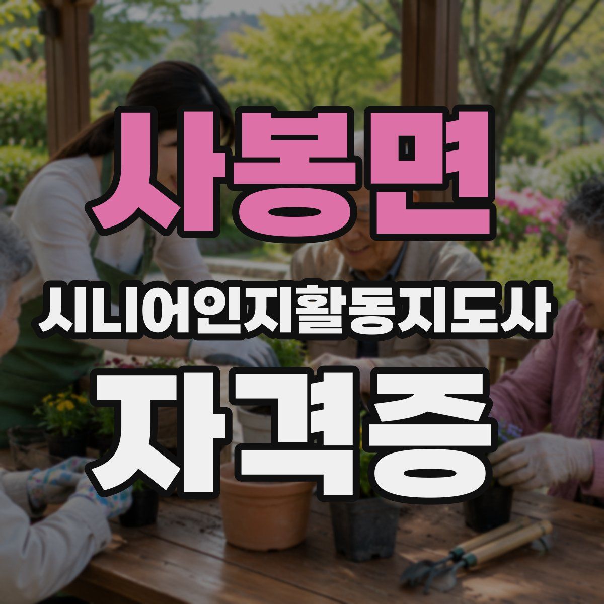 사봉면 시니어인지활동지도사 자격증