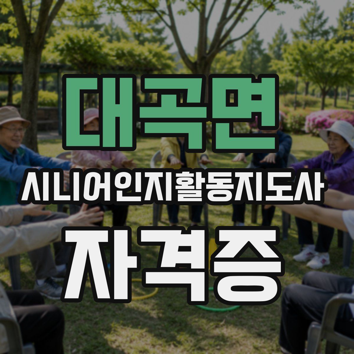 대곡면 시니어인지활동지도사 자격증