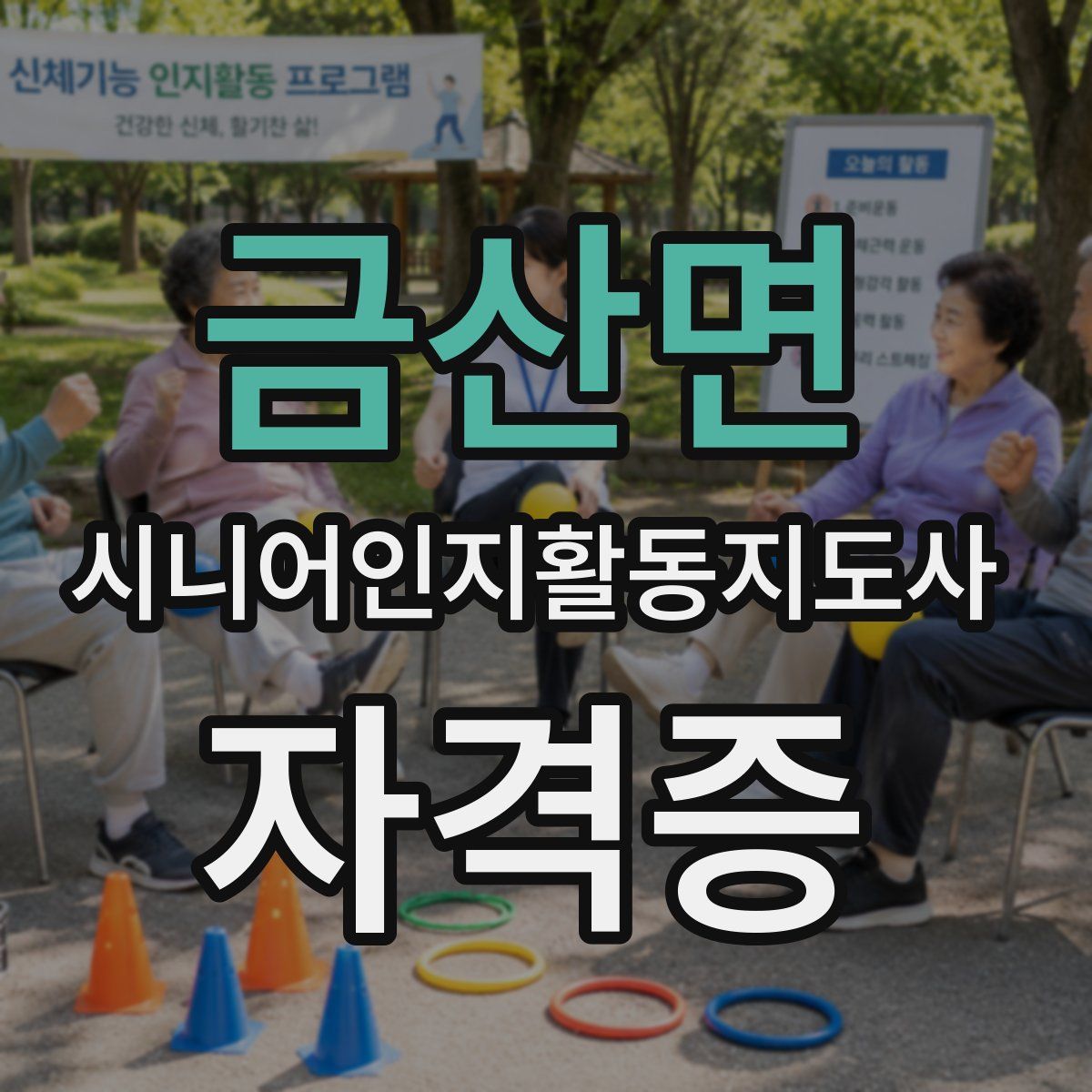 금산면 시니어인지활동지도사 자격증