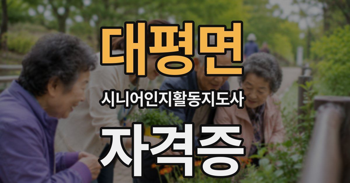 대평면 시니어인지활동지도사 자격증