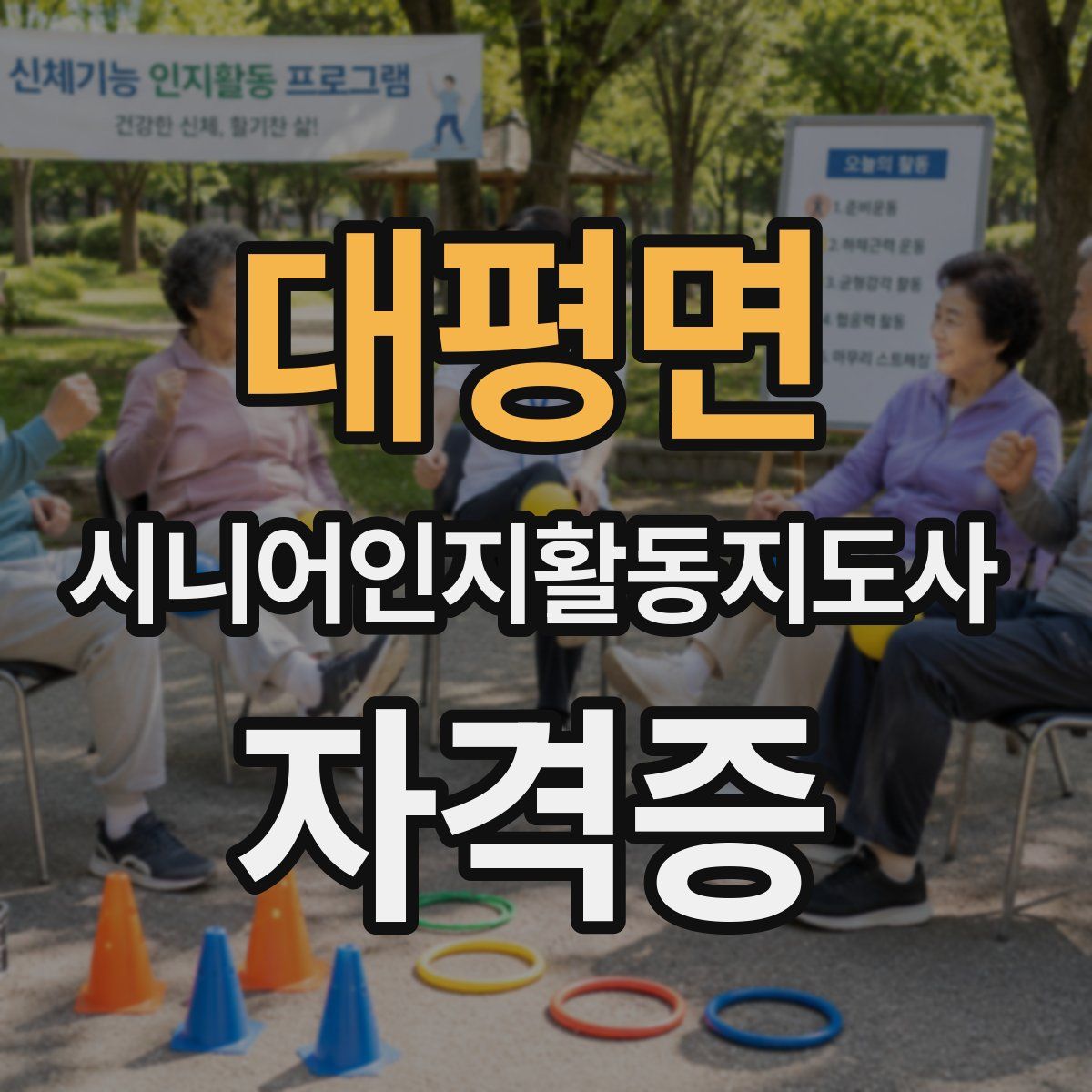 대평면 시니어인지활동지도사 자격증