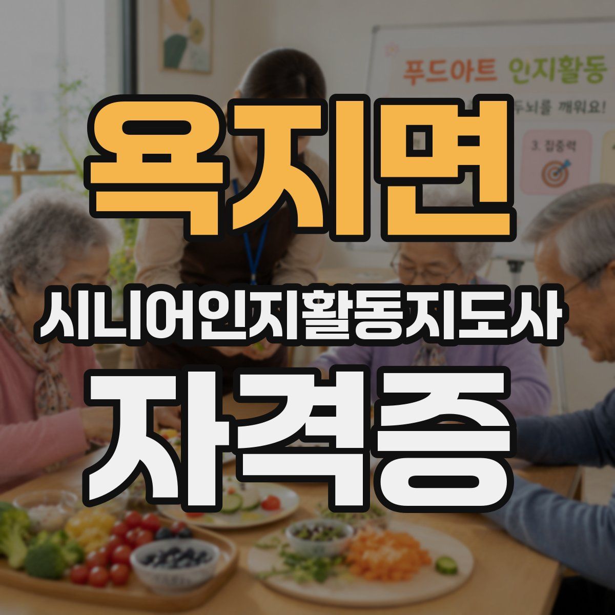 욕지면 시니어인지활동지도사 자격증