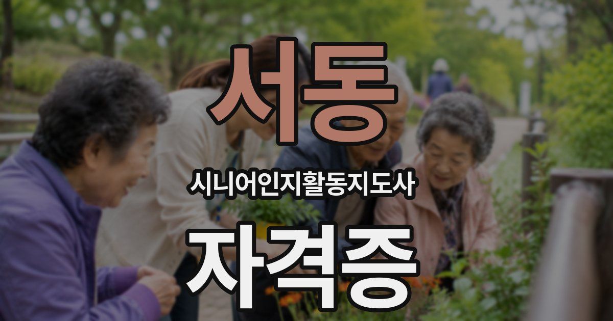 서동 시니어인지활동지도사 자격증