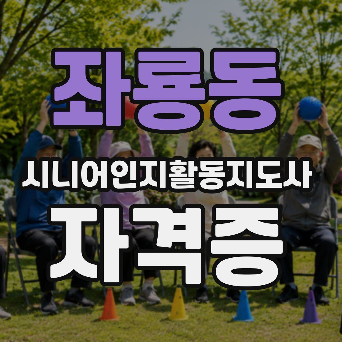 좌룡동 시니어인지활동지도사 자격증