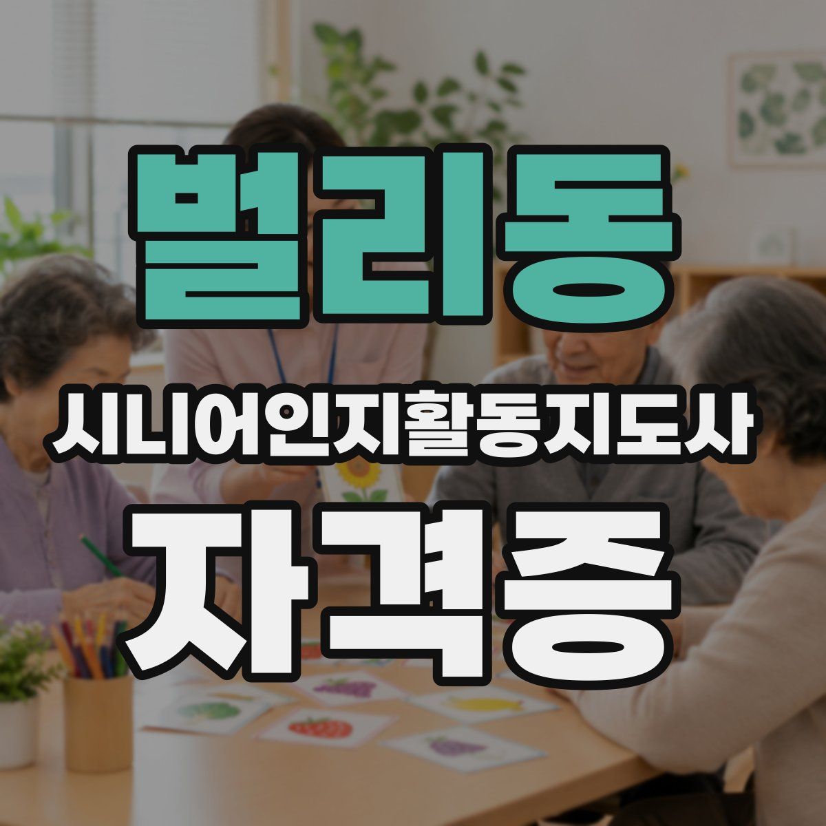 벌리동 시니어인지활동지도사 자격증