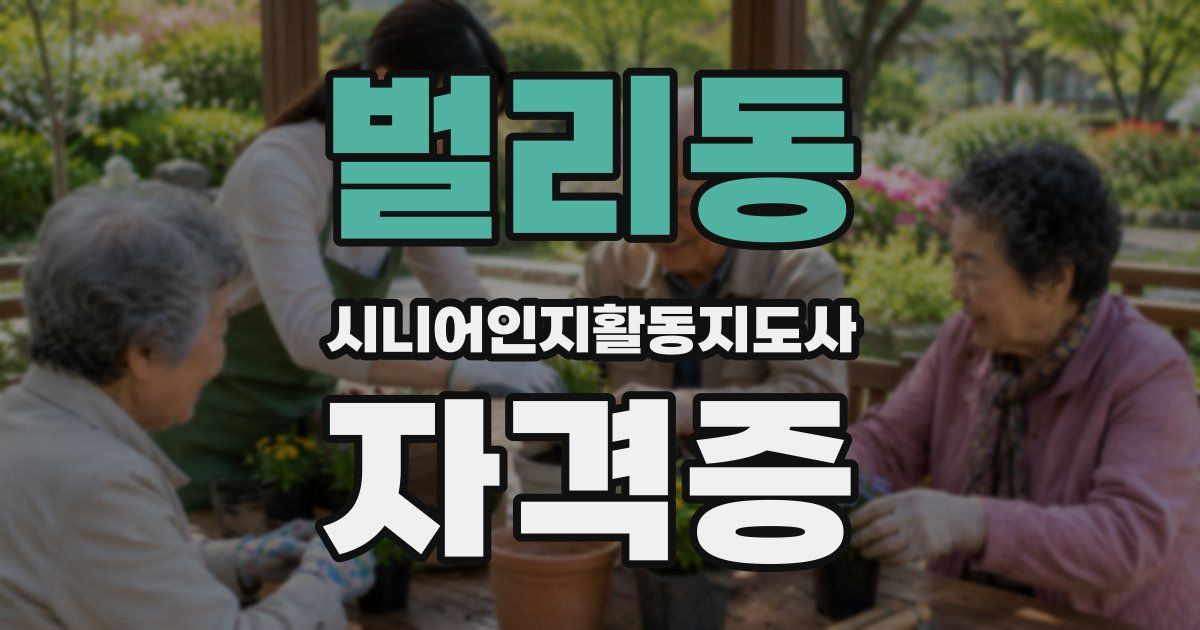 벌리동 시니어인지활동지도사 자격증