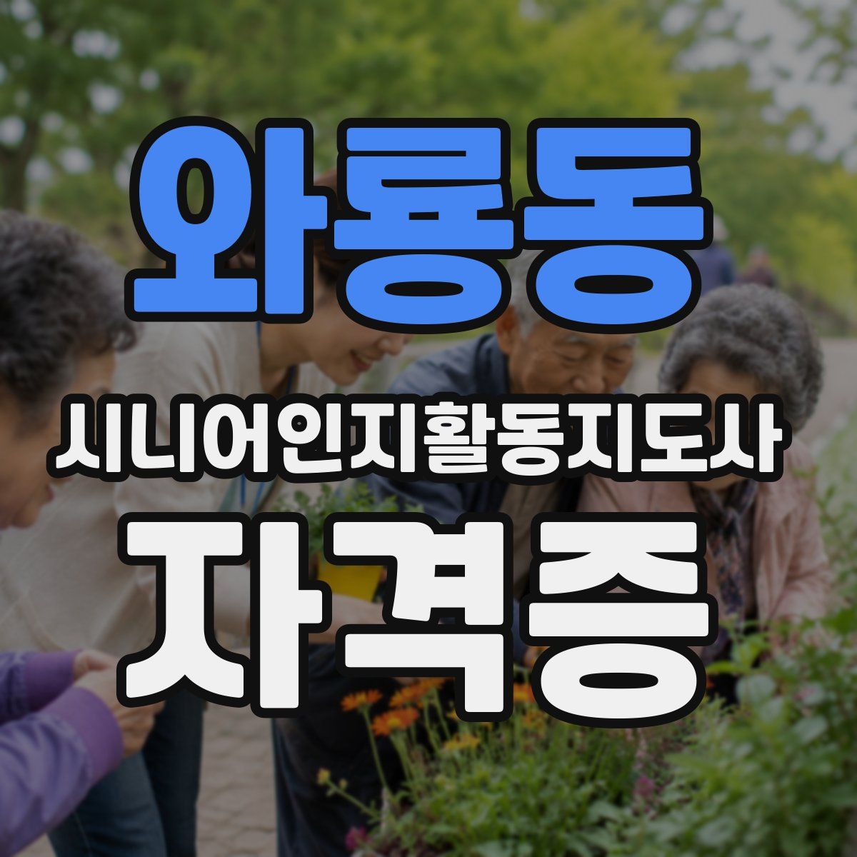와룡동 시니어인지활동지도사 자격증