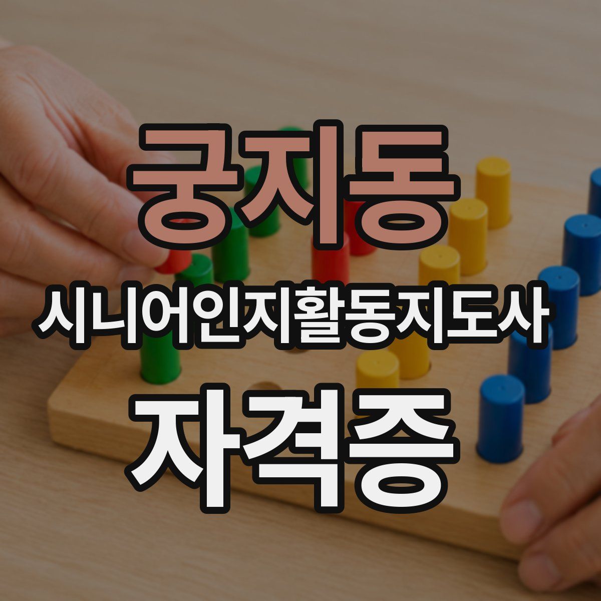 궁지동 시니어인지활동지도사 자격증