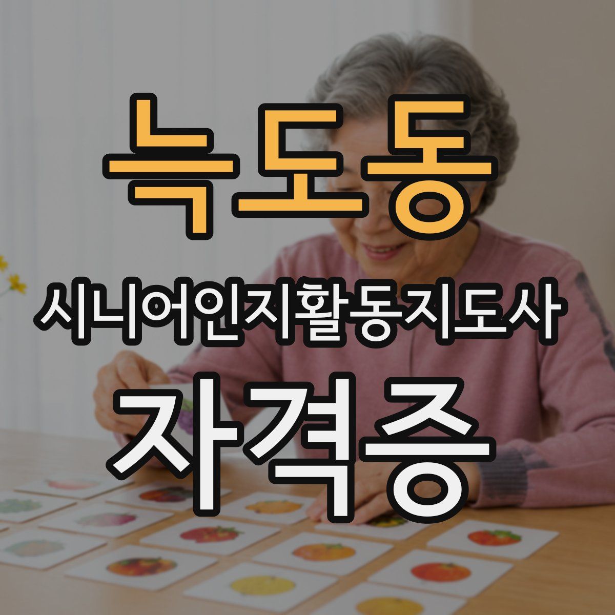 늑도동 시니어인지활동지도사 자격증
