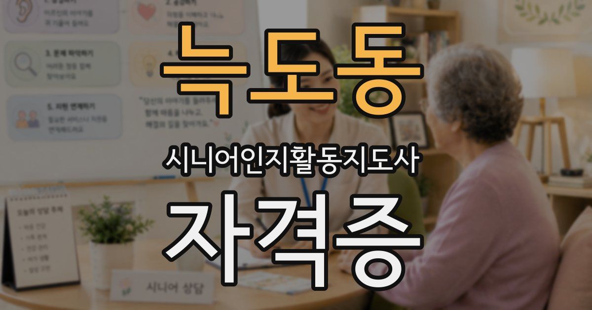늑도동 시니어인지활동지도사 자격증