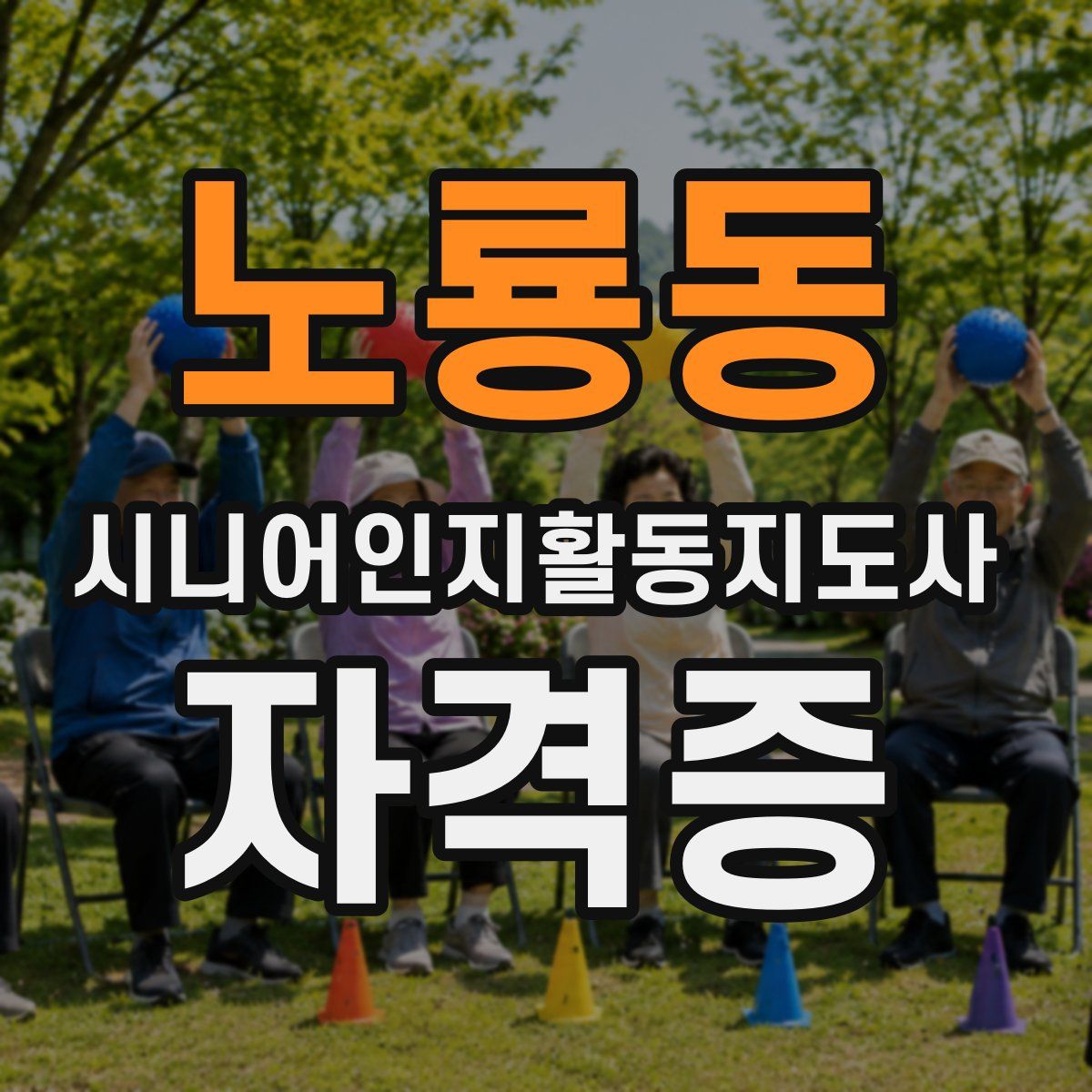 노룡동 시니어인지활동지도사 자격증