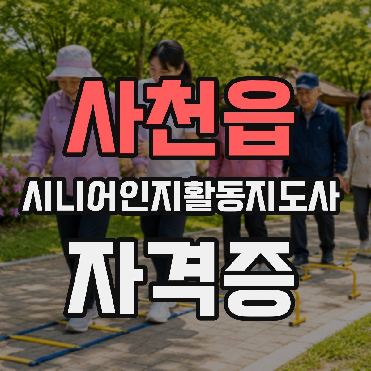사천읍 시니어인지활동지도사 자격증