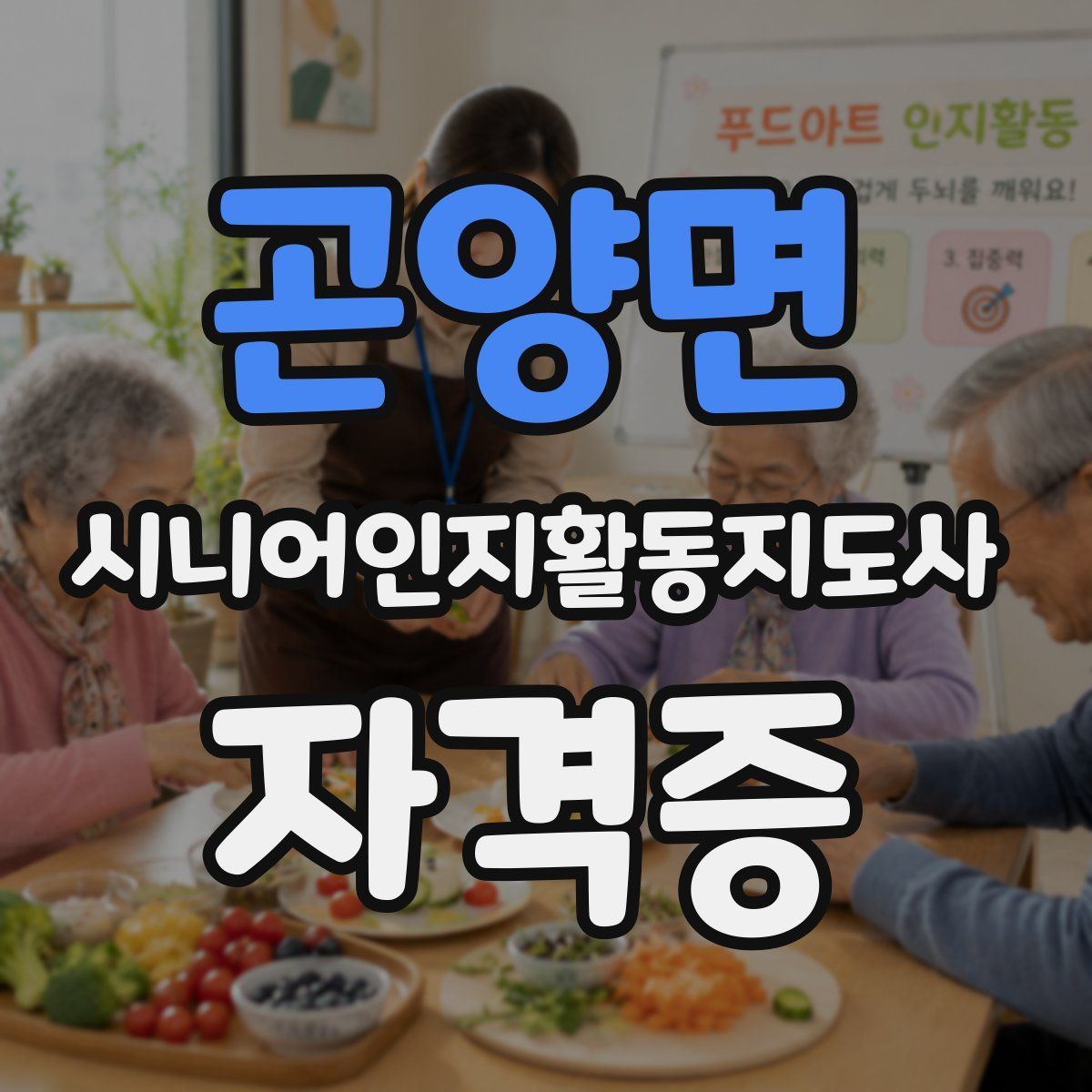 곤양면 시니어인지활동지도사 자격증