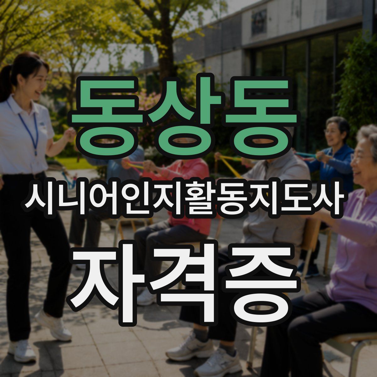 동상동 시니어인지활동지도사 자격증