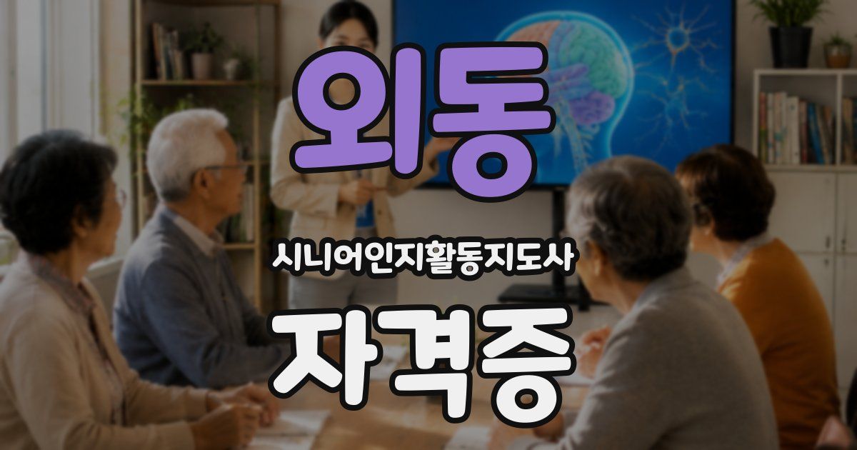 외동 시니어인지활동지도사 자격증