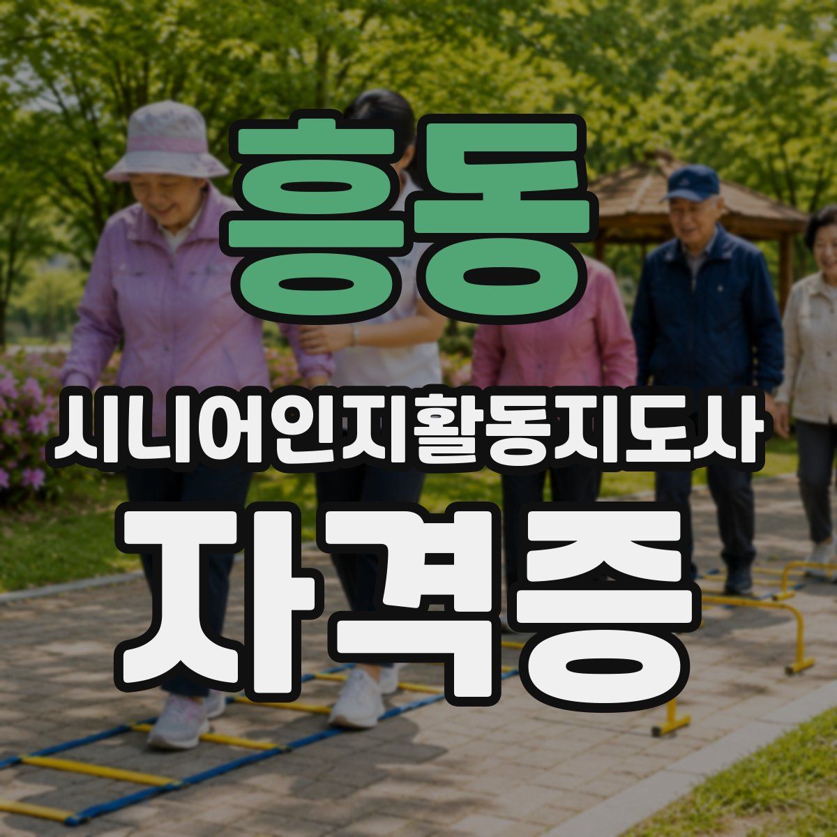 흥동 시니어인지활동지도사 자격증
