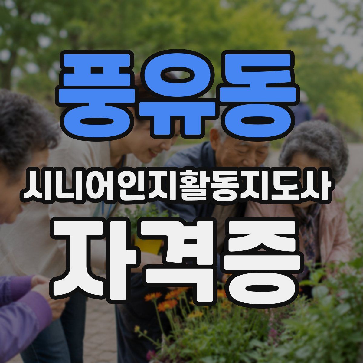 풍유동 시니어인지활동지도사 자격증