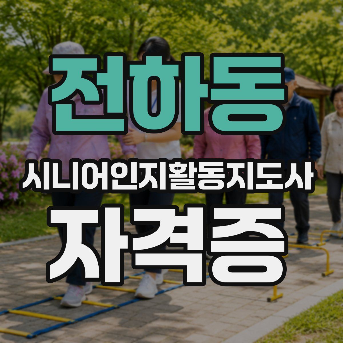 전하동 시니어인지활동지도사 자격증