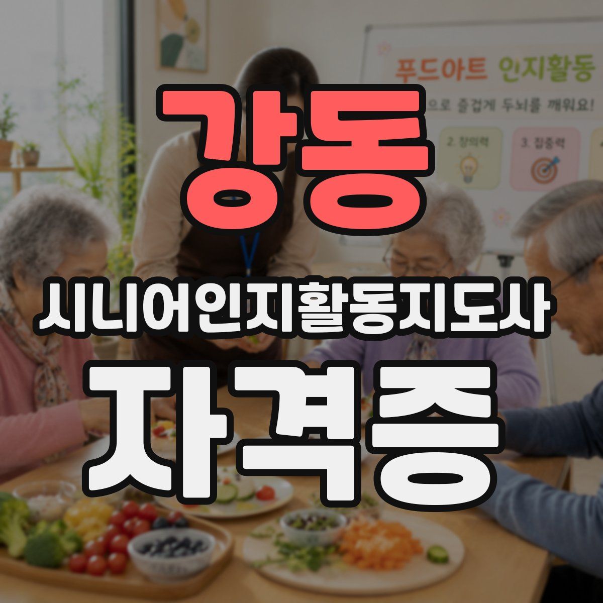 강동 시니어인지활동지도사 자격증