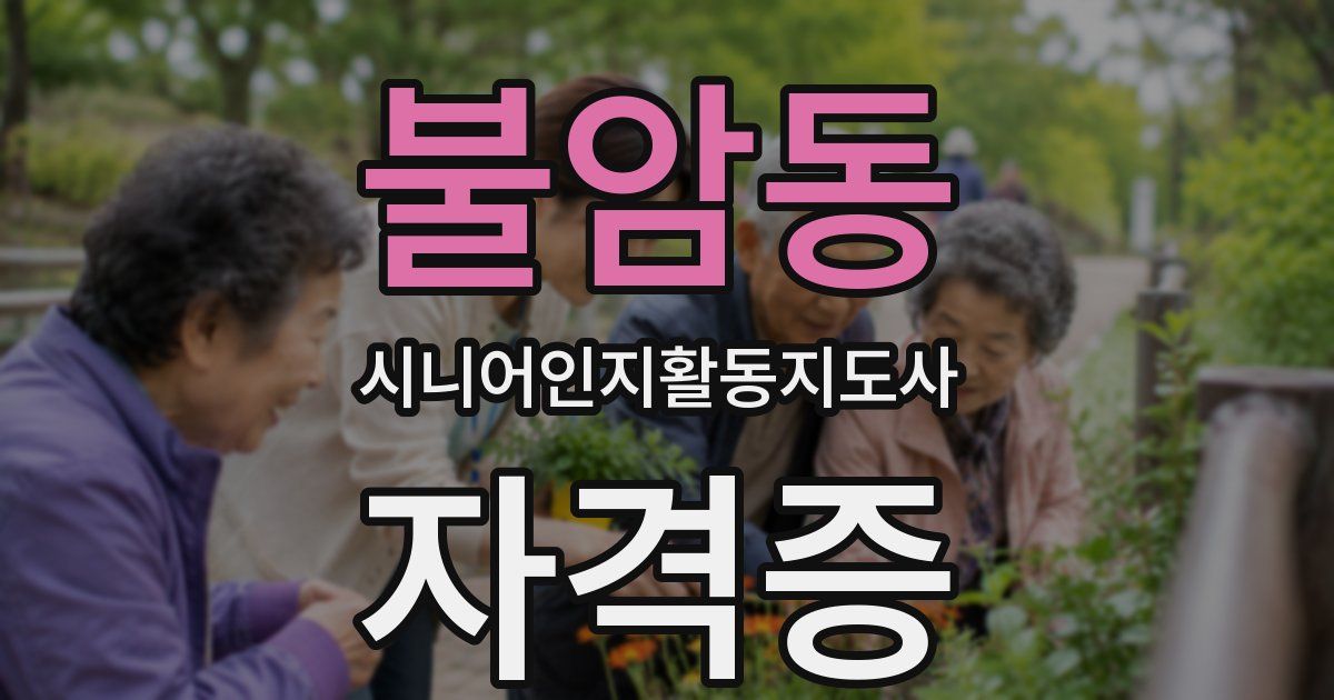 불암동 시니어인지활동지도사 자격증
