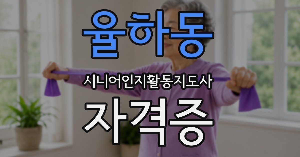 율하동 시니어인지활동지도사 자격증