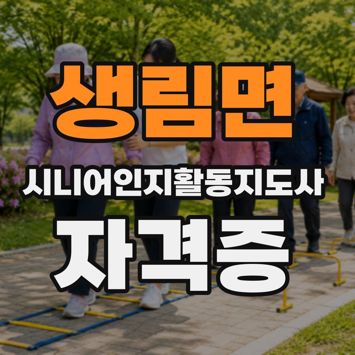 생림면 시니어인지활동지도사 자격증