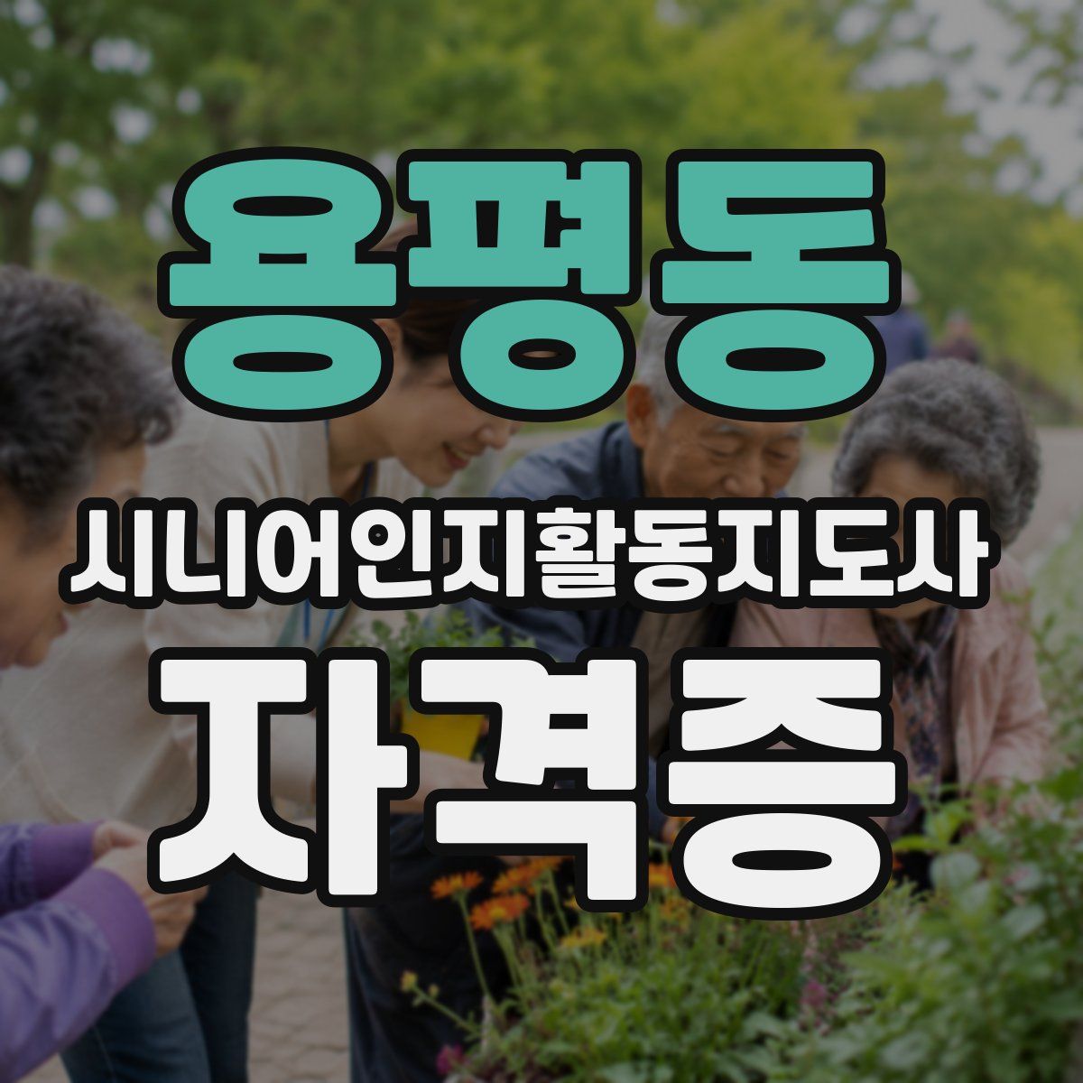 용평동 시니어인지활동지도사 자격증