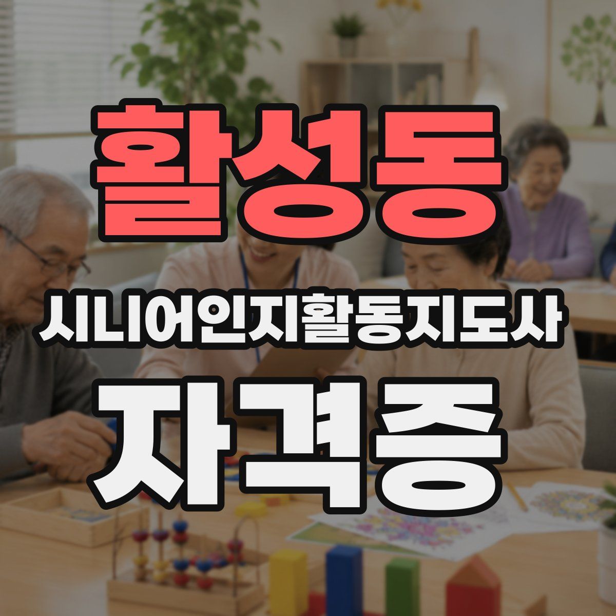 활성동 시니어인지활동지도사 자격증