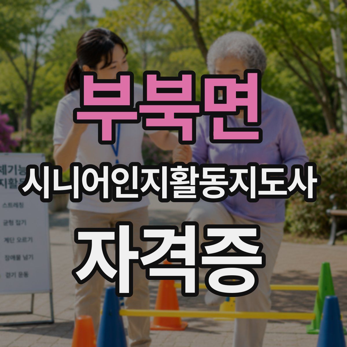 부북면 시니어인지활동지도사 자격증