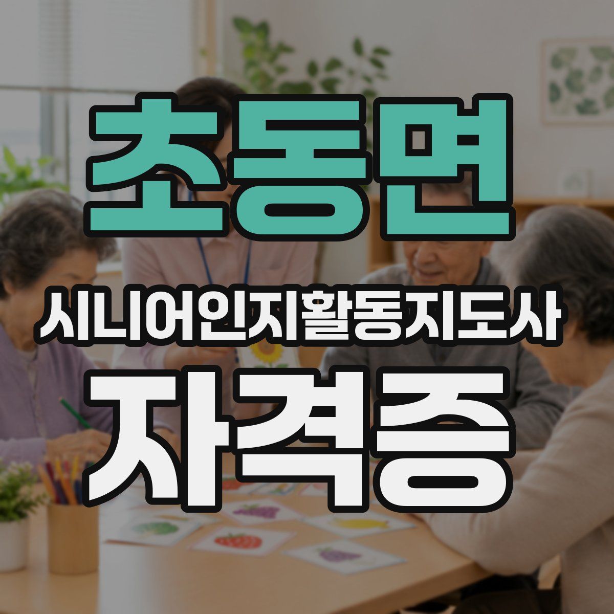 초동면 시니어인지활동지도사 자격증